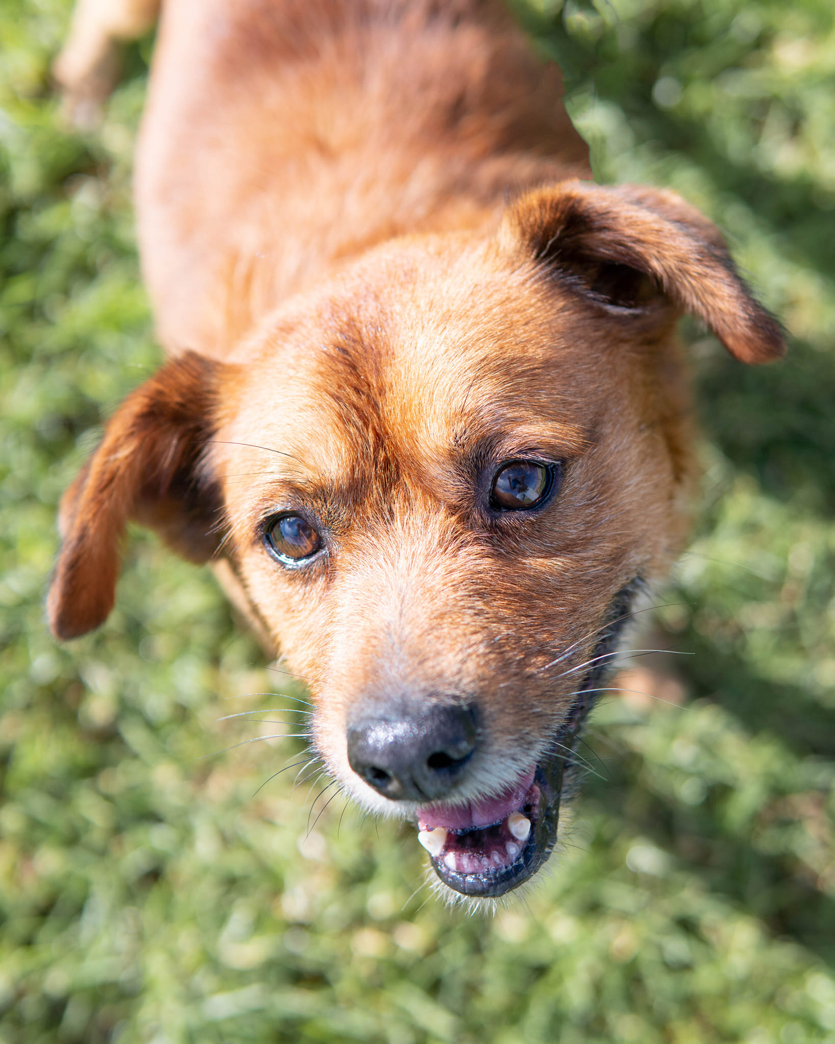 319082653_10162650753008438_7082236987621827594_n