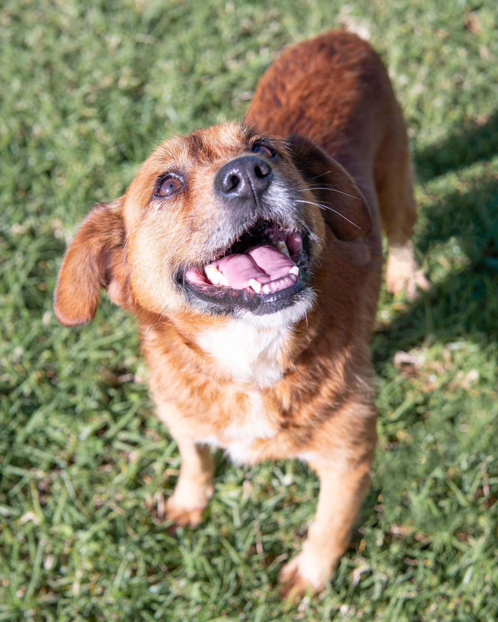 319504246_10162650753463438_8929946951188708769_n