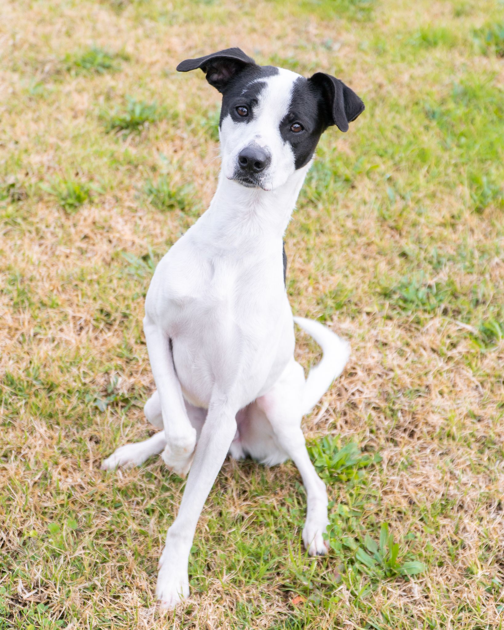 474763945_10165106504608438_7373498358929239861_n - Cópia