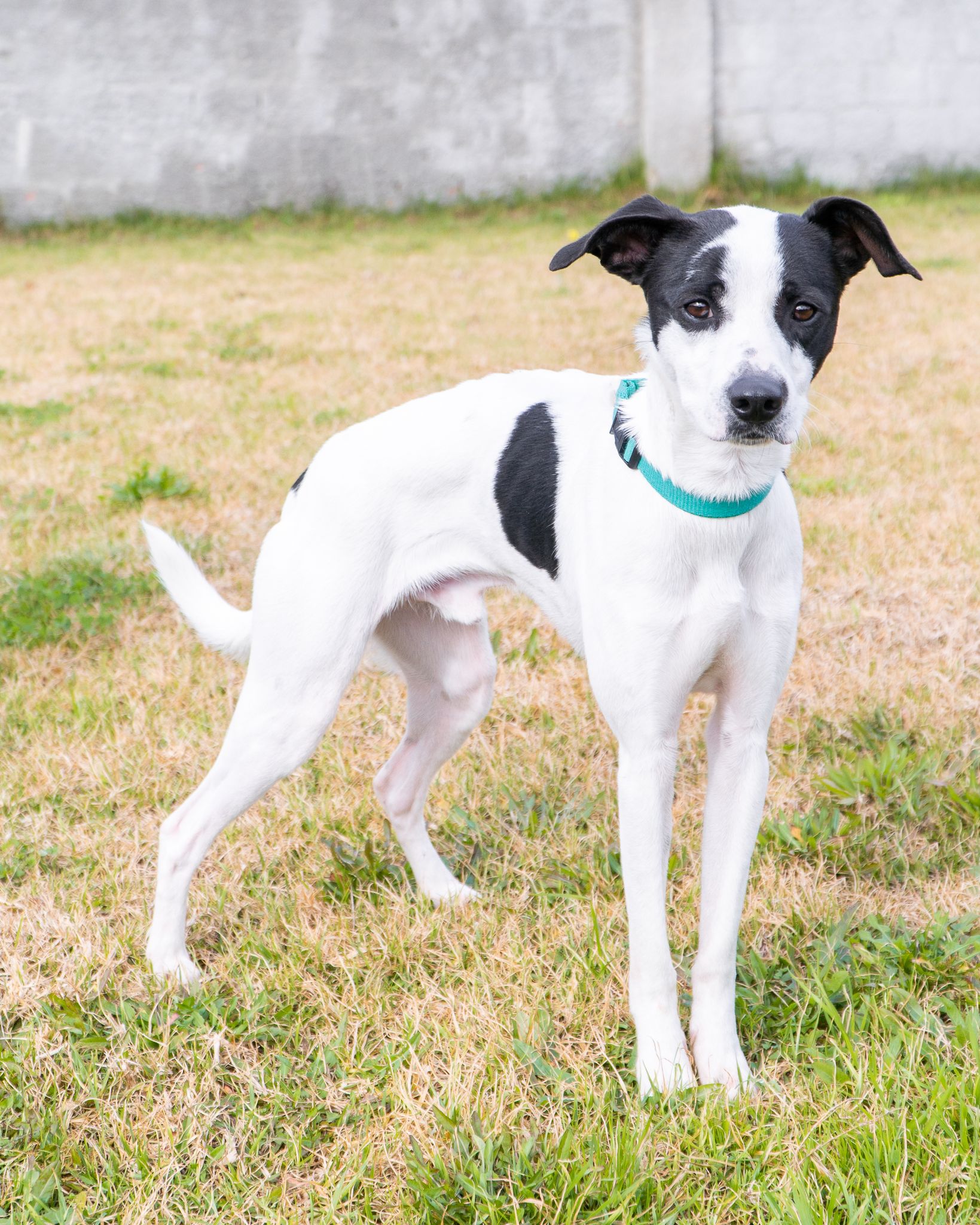 474773041_10165106505128438_8656356043919627472_n