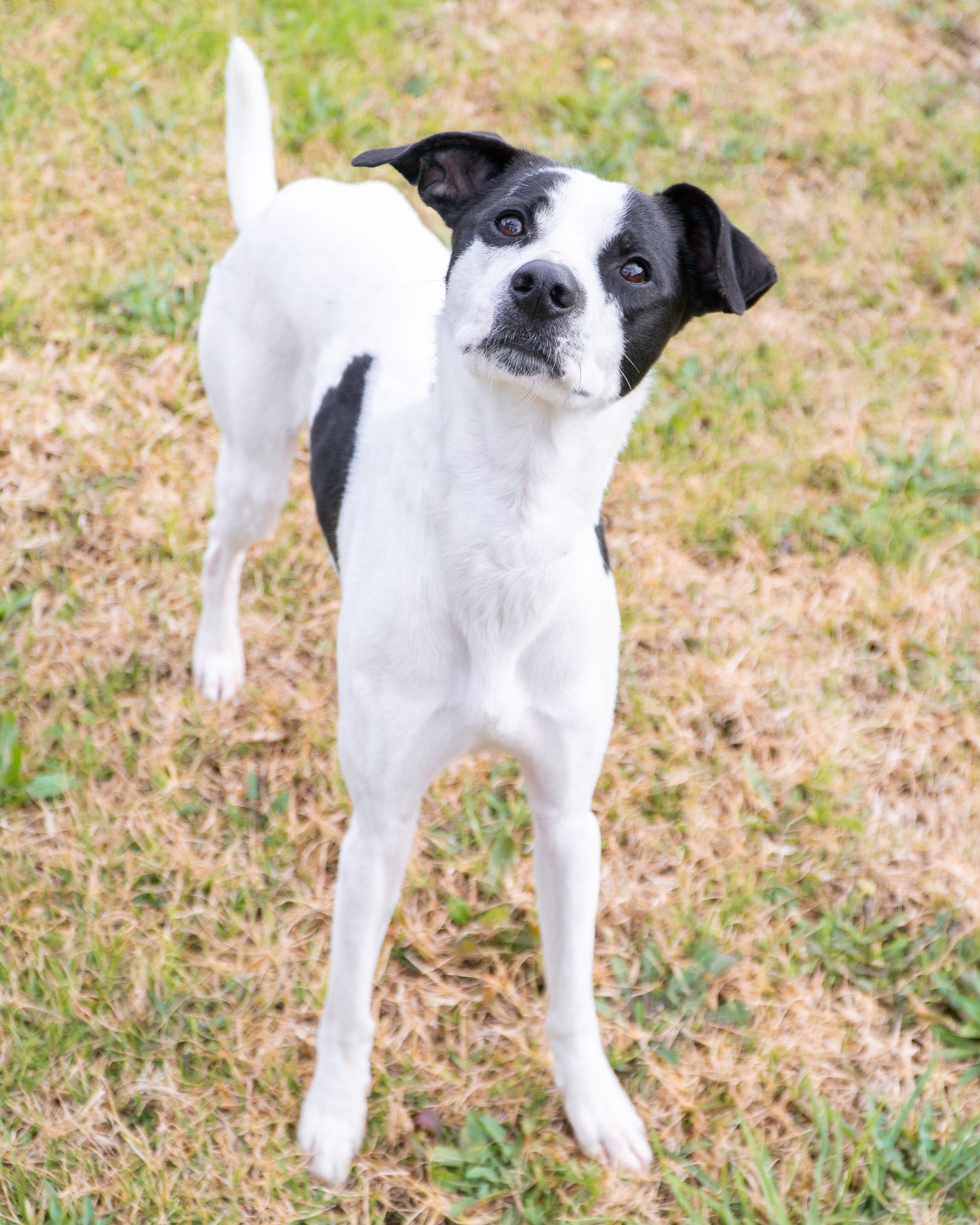 474793027_10165106504963438_2939475317356842793_n