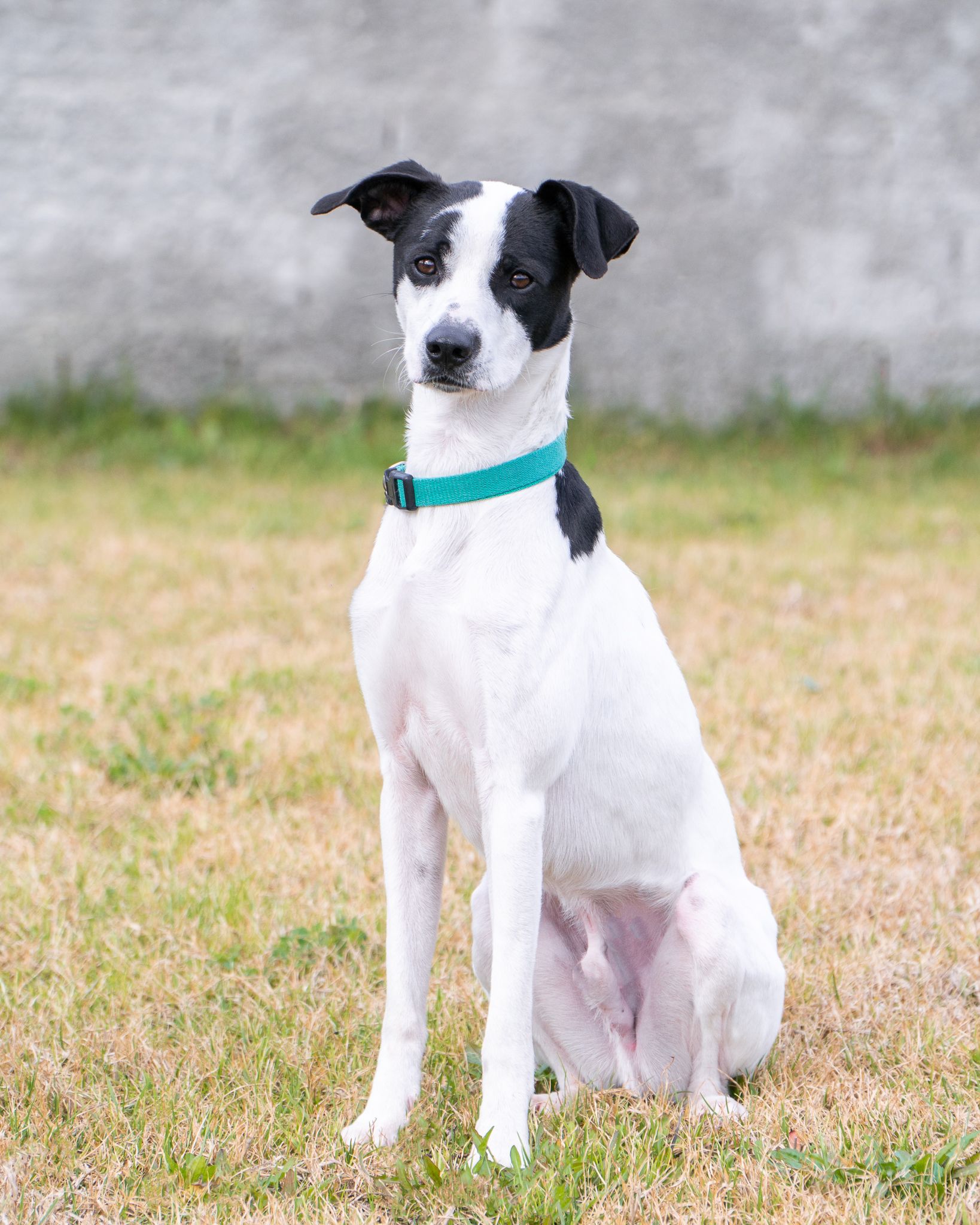 475177043_10165106504858438_1414649030324065175_n