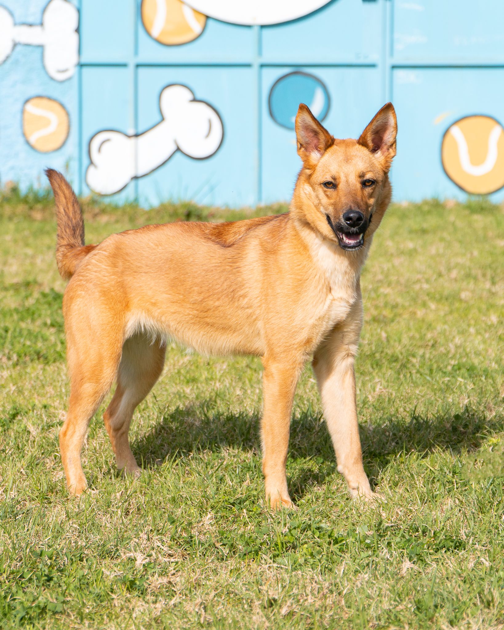 476019803_10165128105803438_7290880140482883129_n