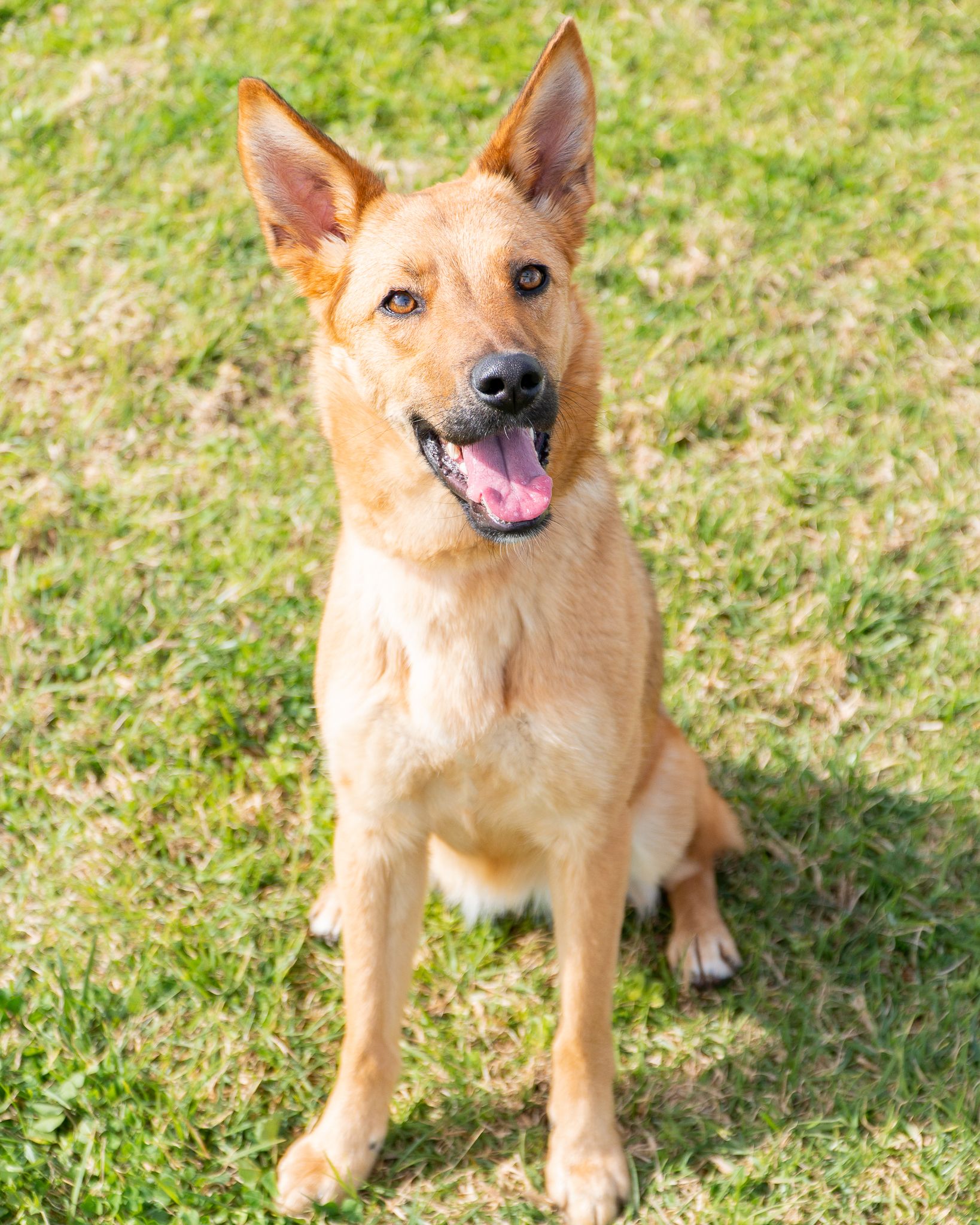 476239303_10165128105678438_1519445058803632230_n