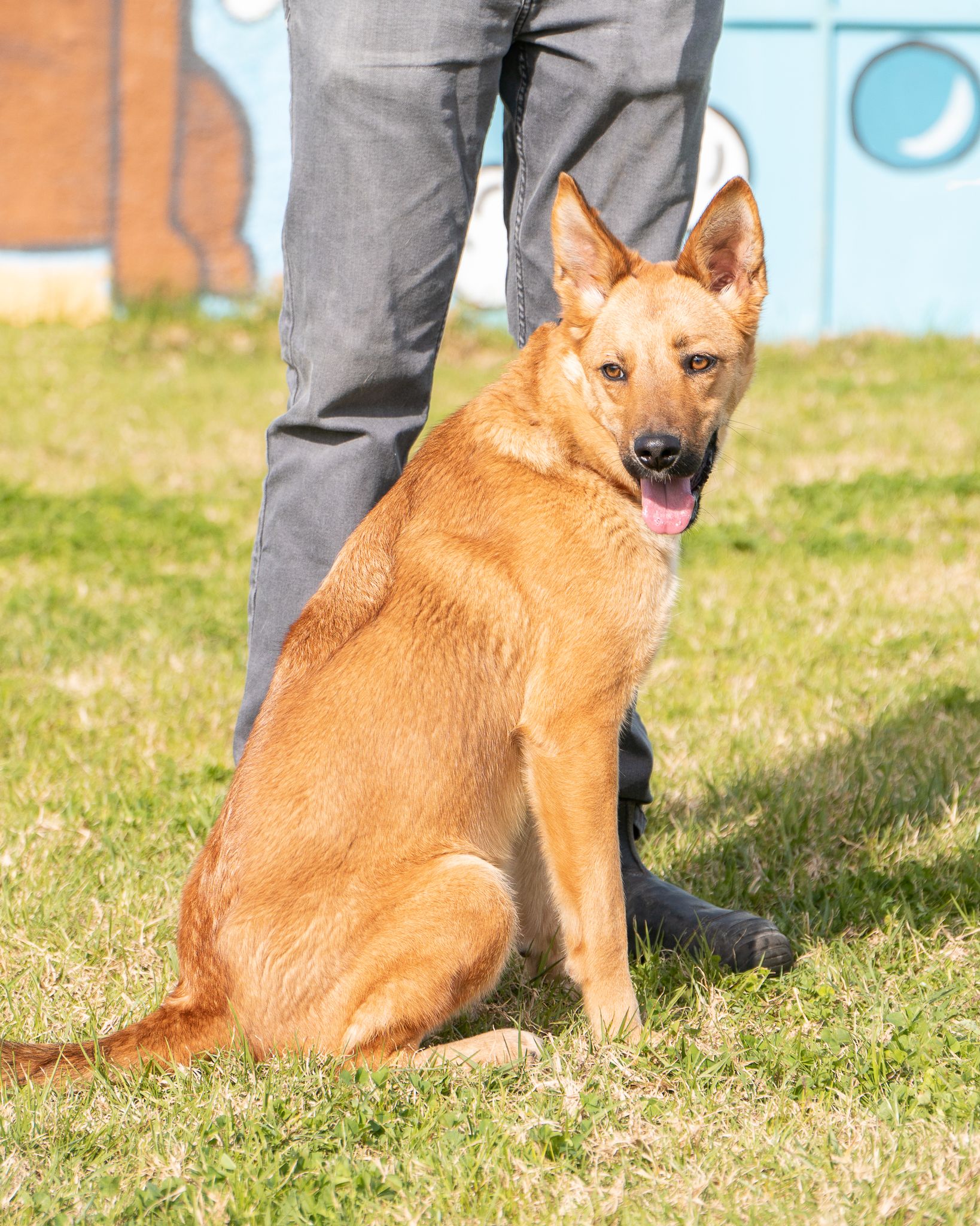 476245522_10165128105873438_9043416025408599206_n