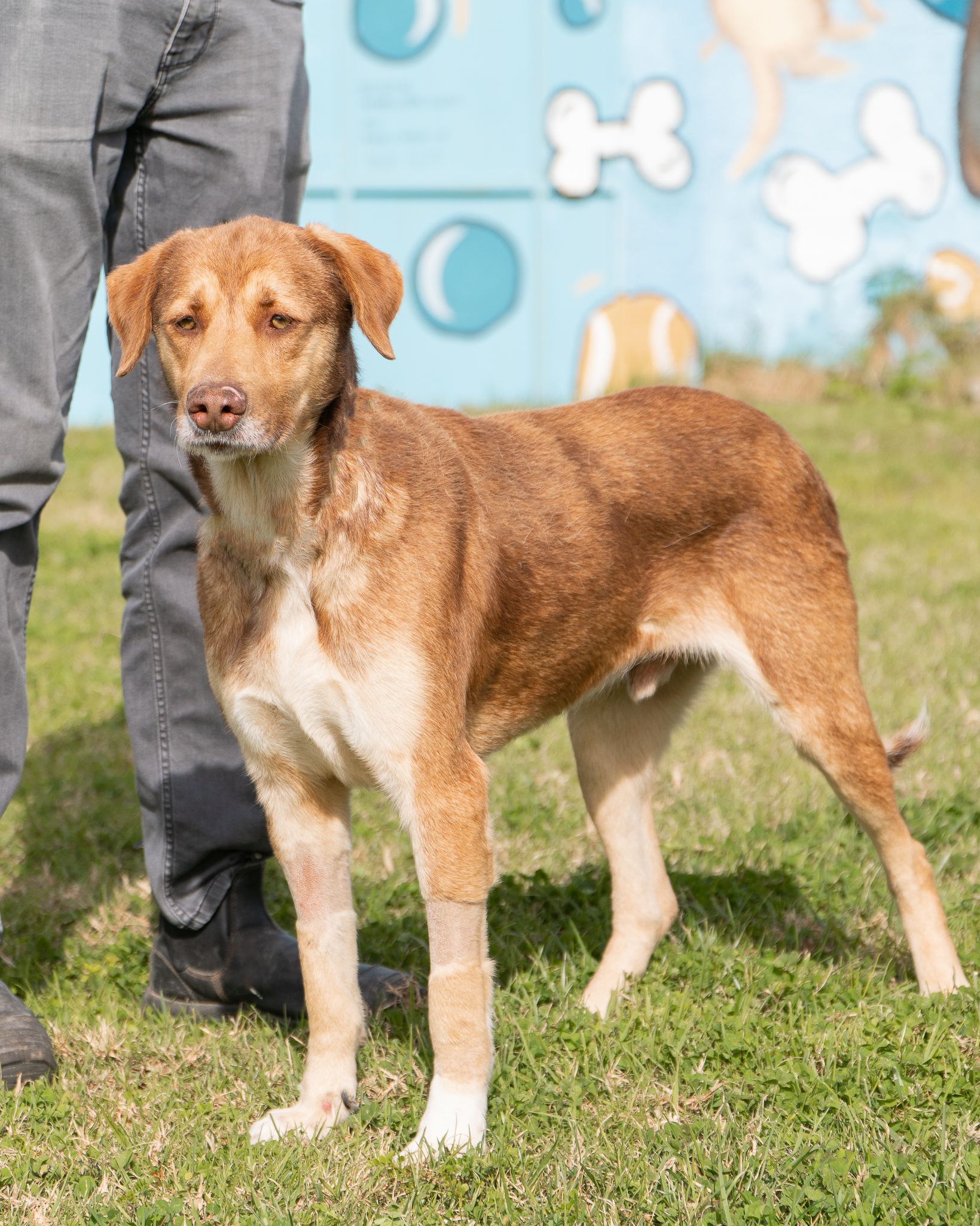 476275567_10165128101898438_1737734868818058800_n