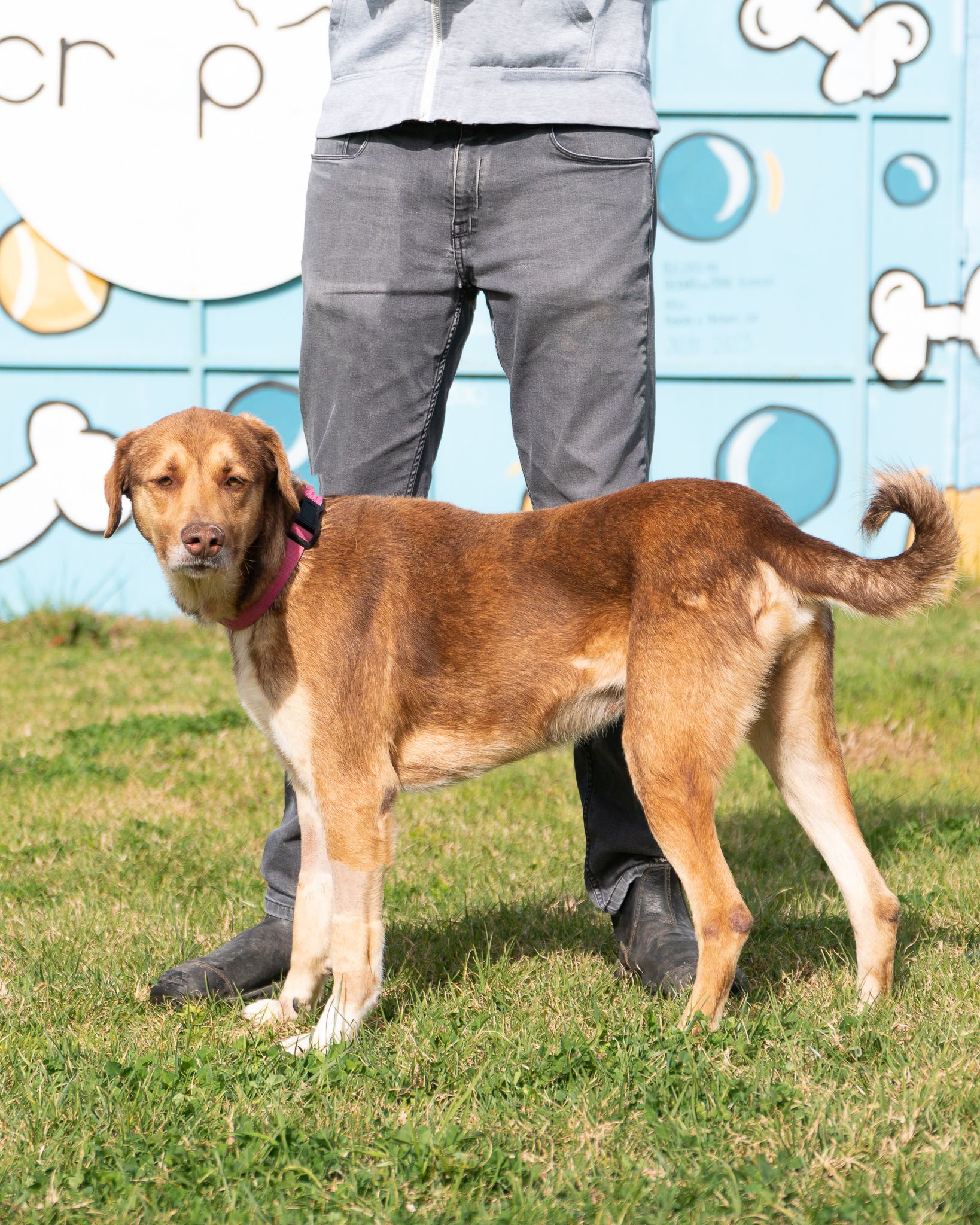 476343872_10165128101953438_6693701535652356806_n