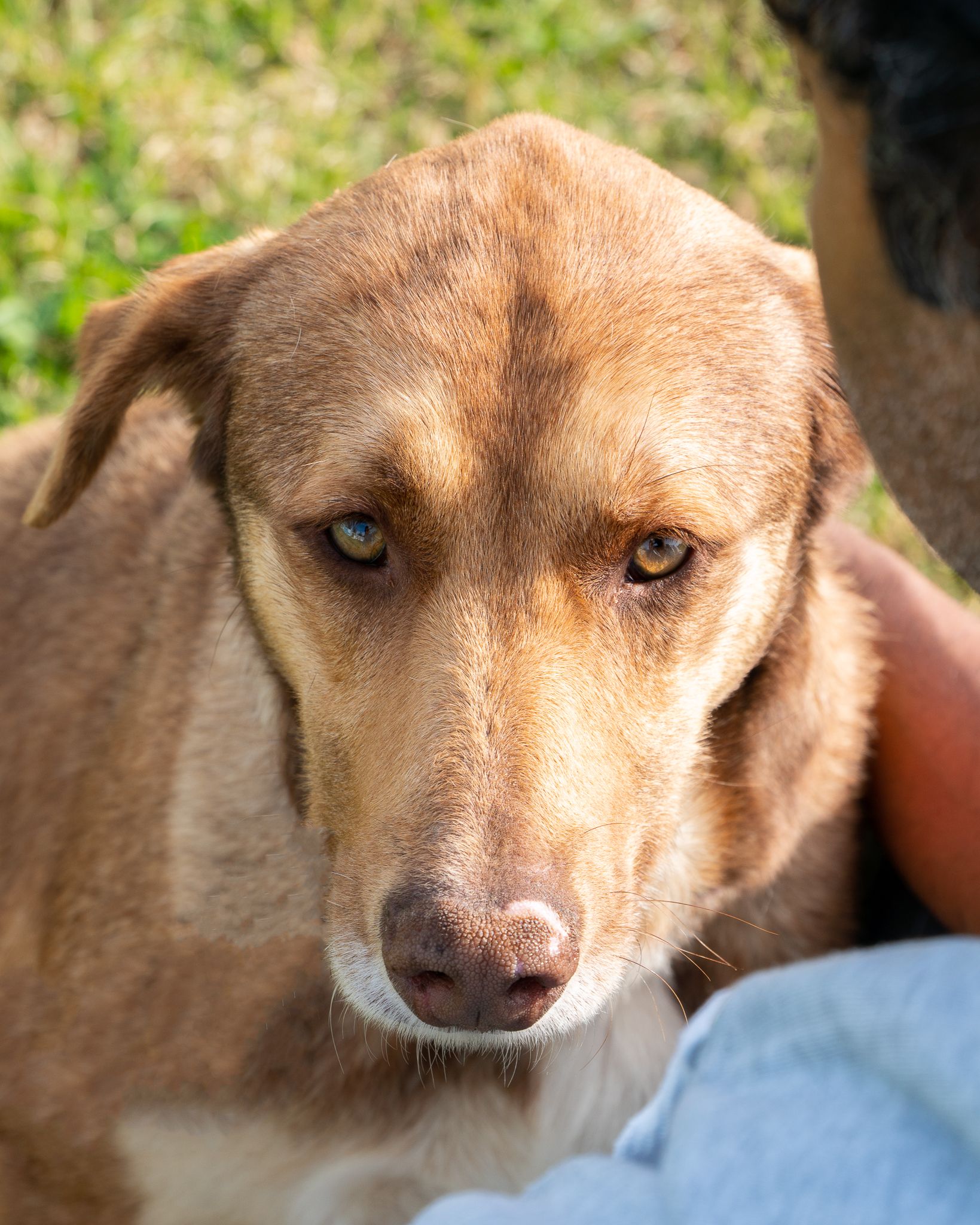 476347897_10165128101768438_1387213741306206705_n