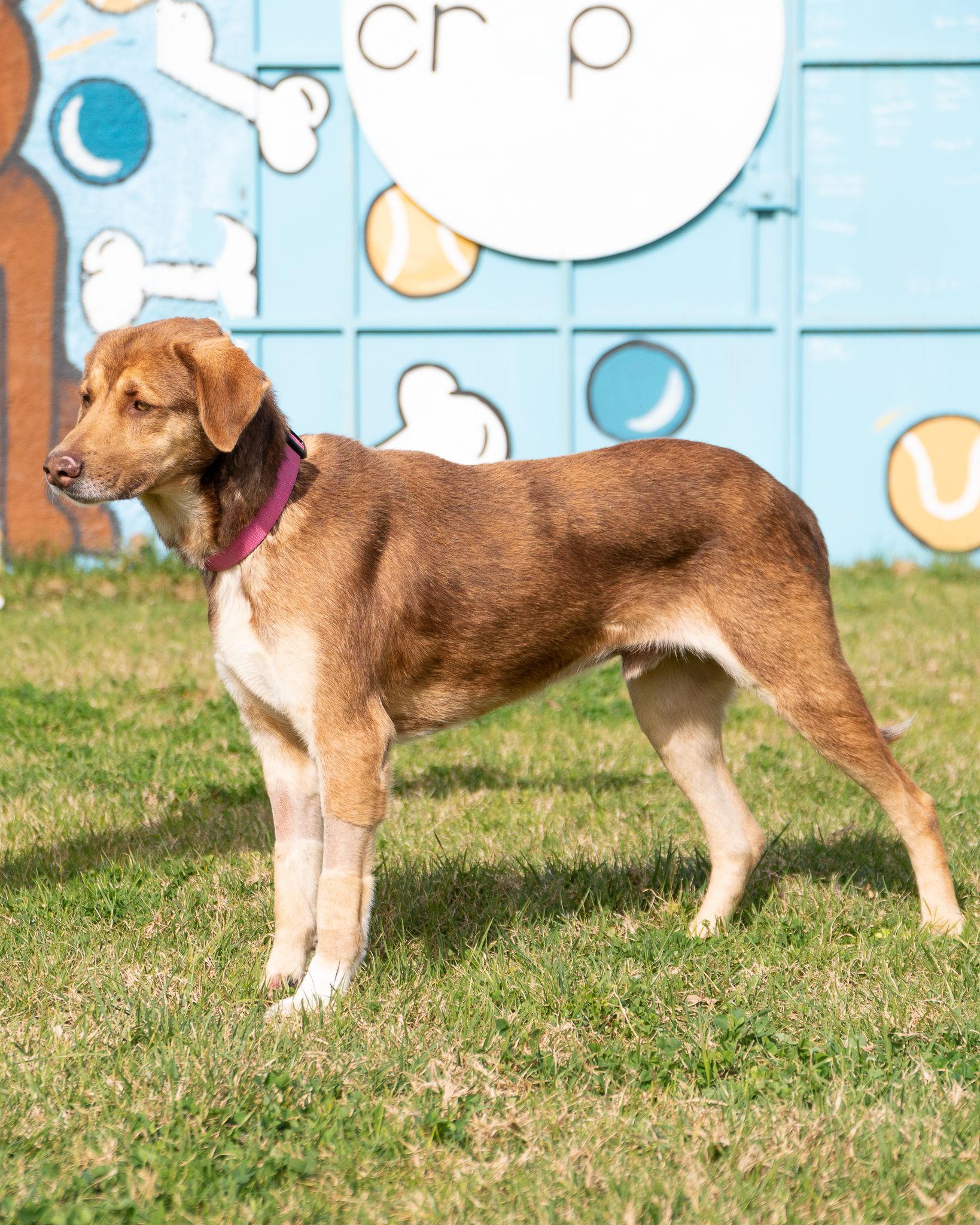 476367751_10165128102038438_2786234599043972982_n