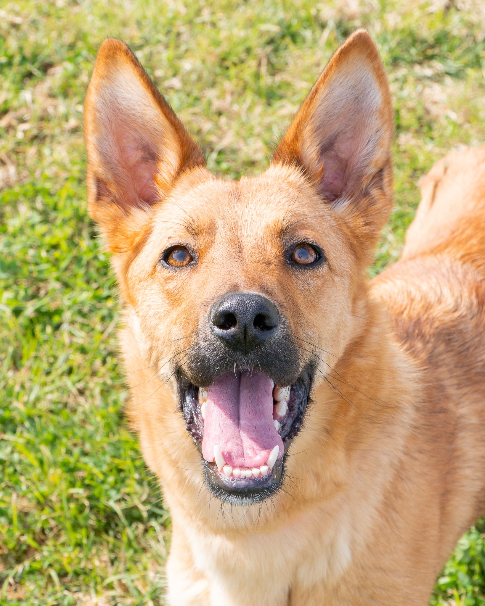 476453897_10165128105193438_2059840537140767318_n