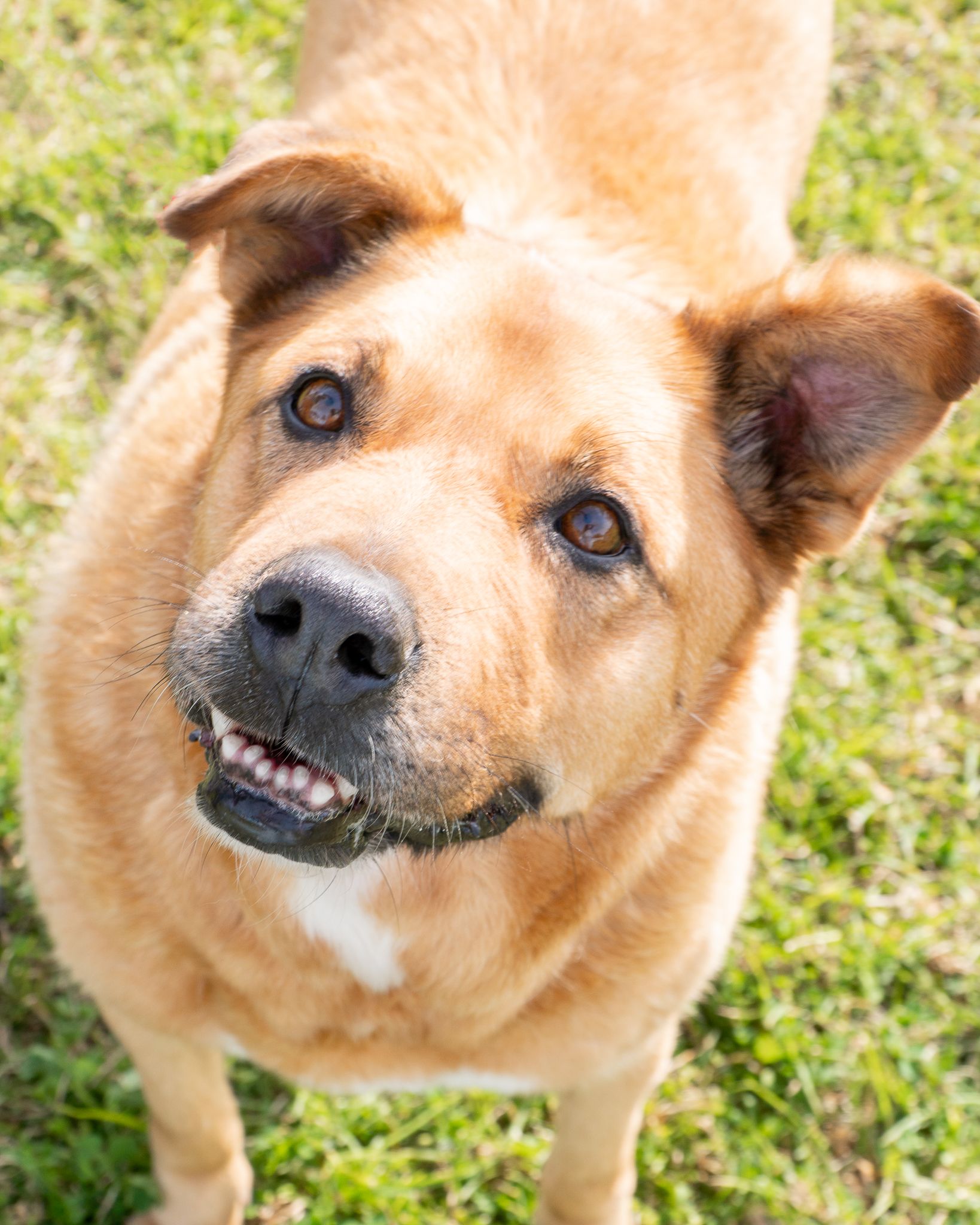 477871944_10165140643843438_1794925591406033897_n