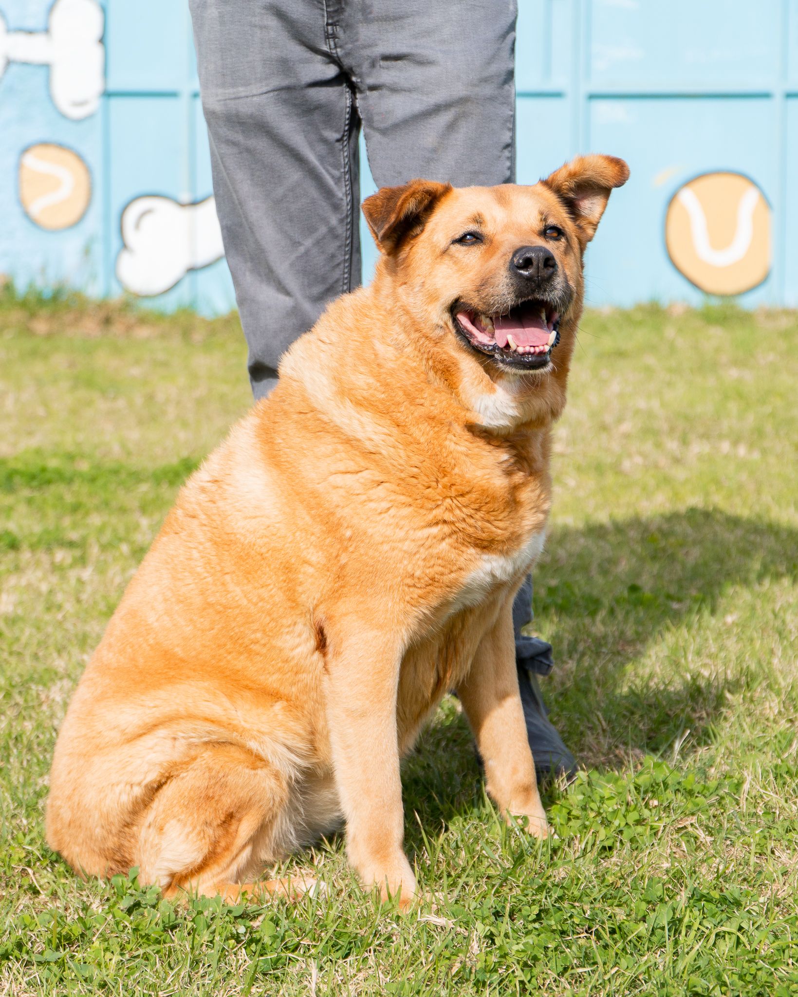 478261333_10165140642633438_504819345920484703_n