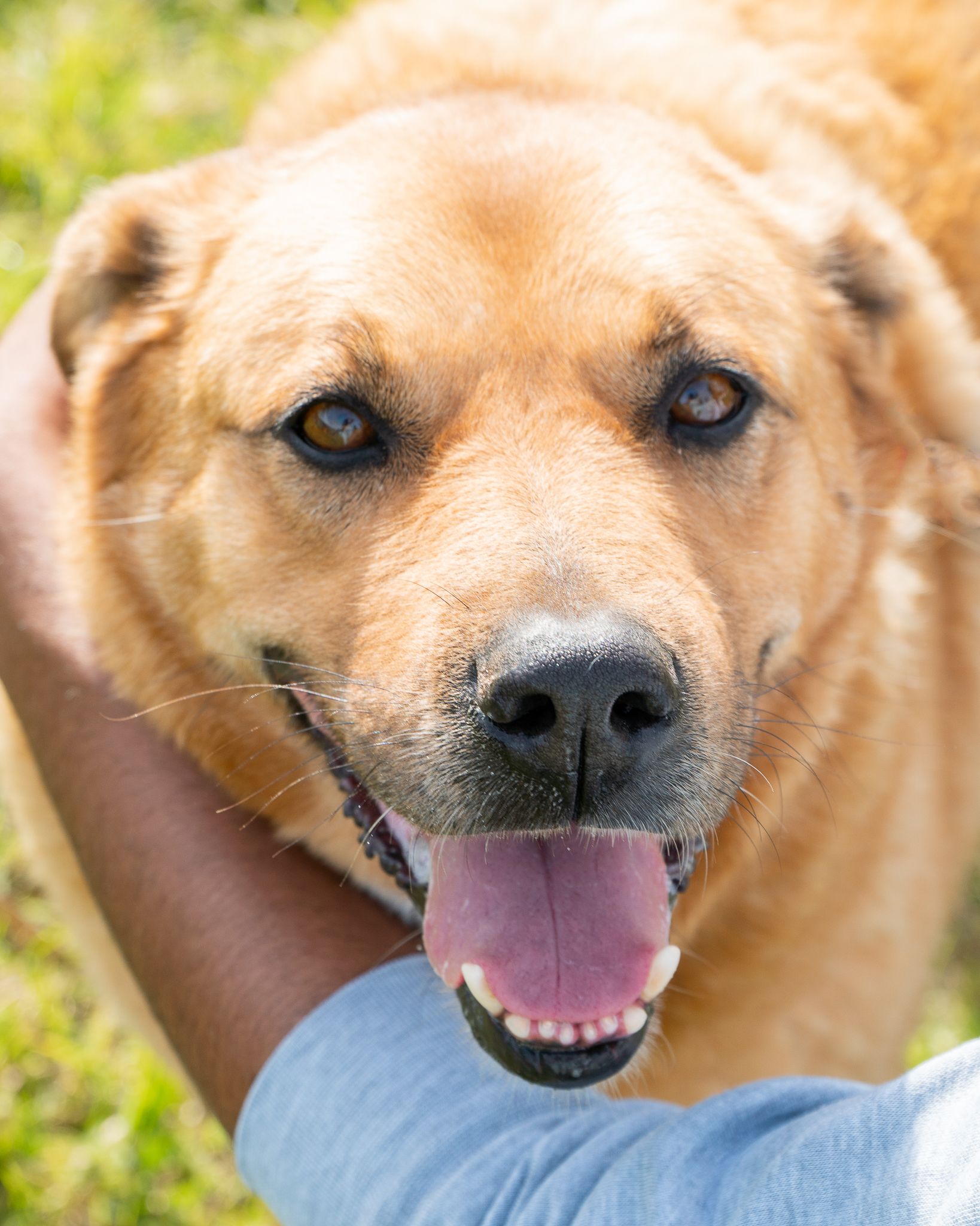 478955993_10165140643643438_5371428867336328483_n