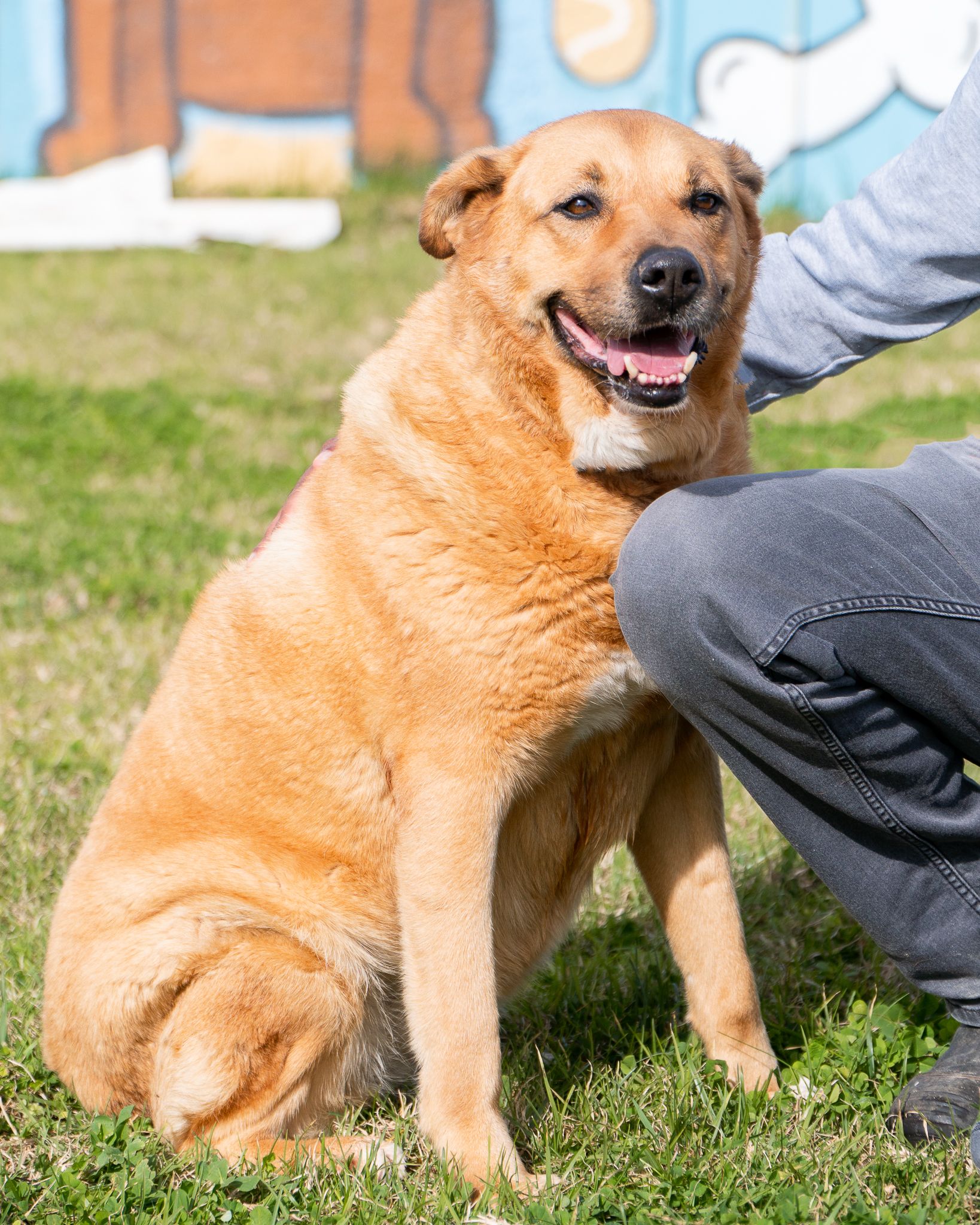 479527261_10165140643713438_6392123942989681223_n