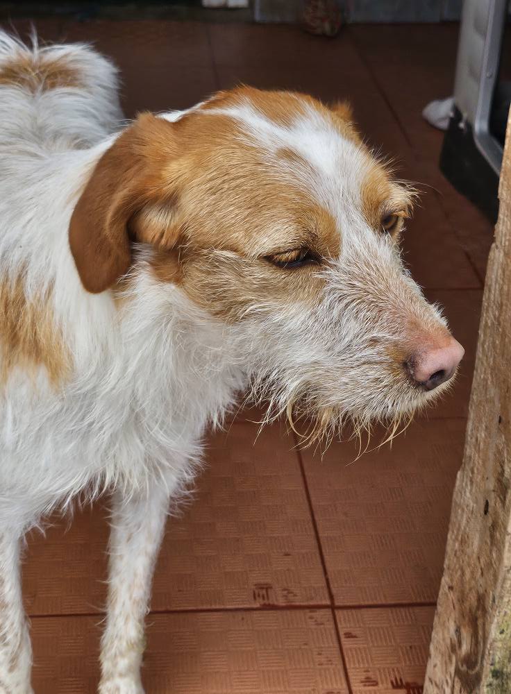 480285255_10163174988016180_811732786161749170_n