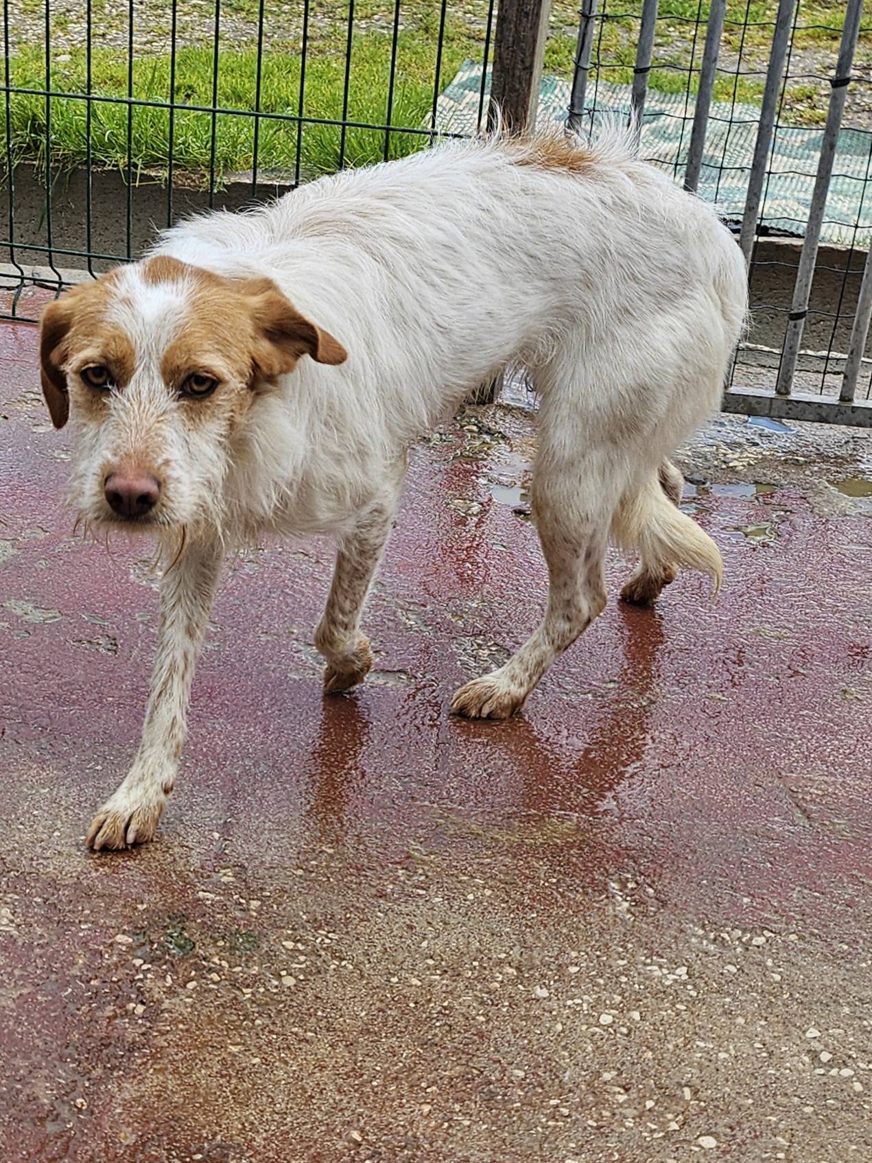 480940996_10163174986971180_6396840543553549883_n