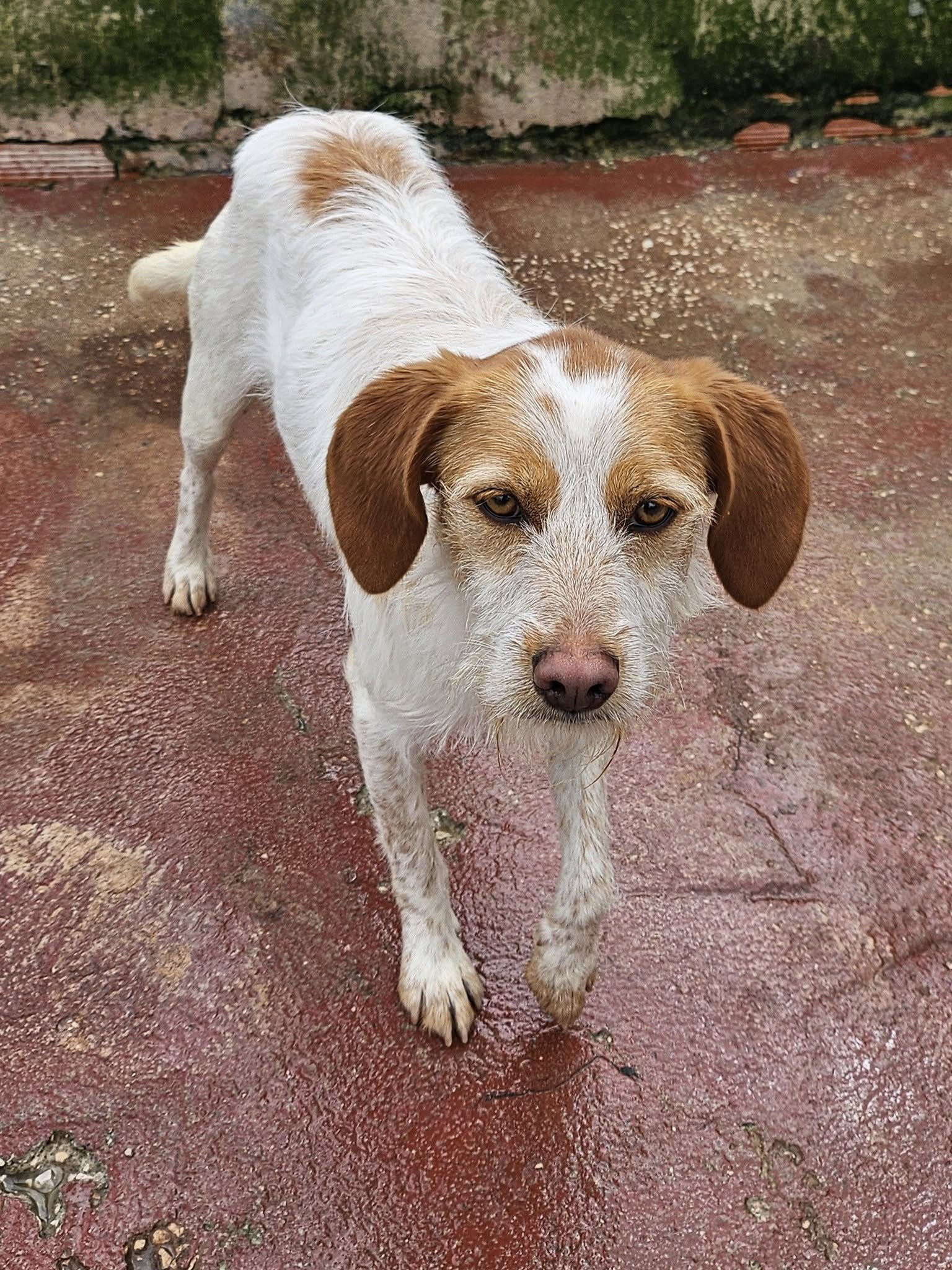 485774015_10163233876516180_5103249139761562668_n