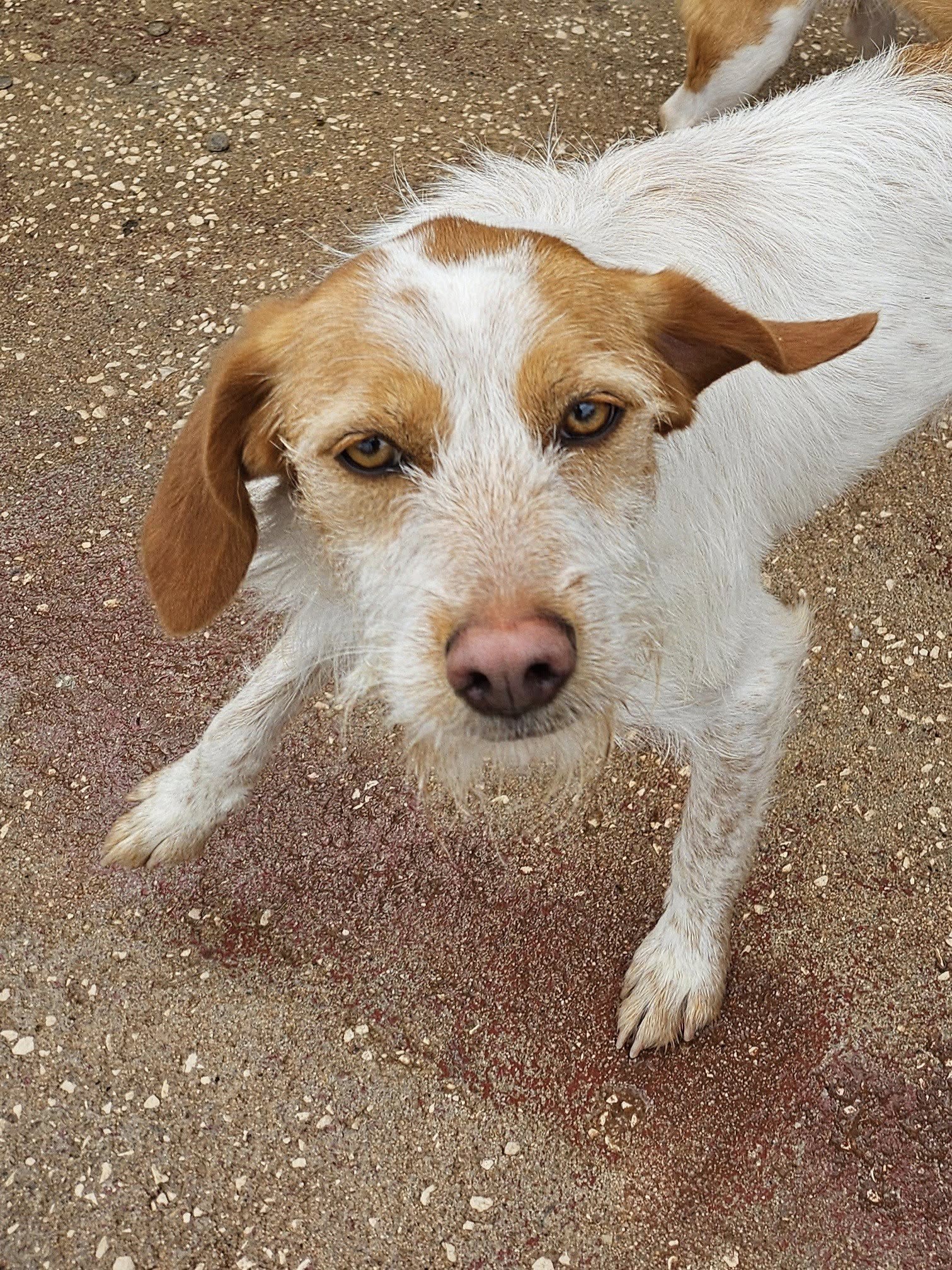 486377812_10163233876321180_8227980929134112426_n