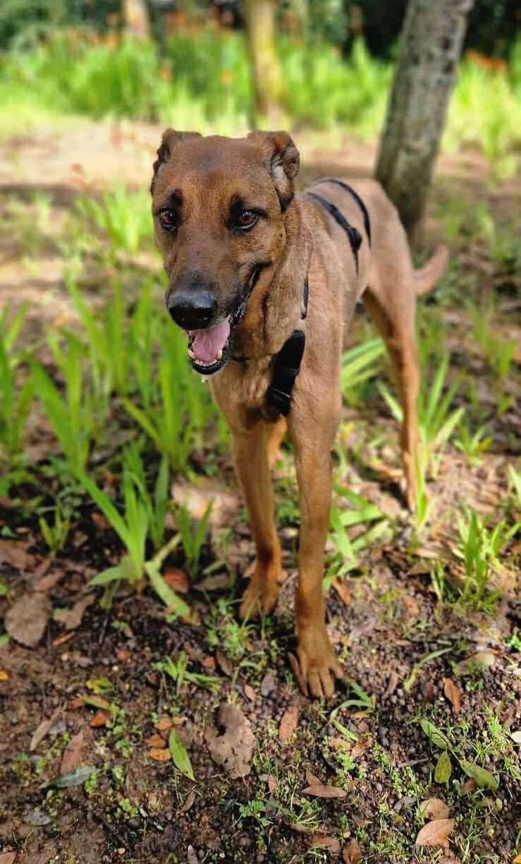 557613010_3013958378790935_7099047840941707911_n Otto